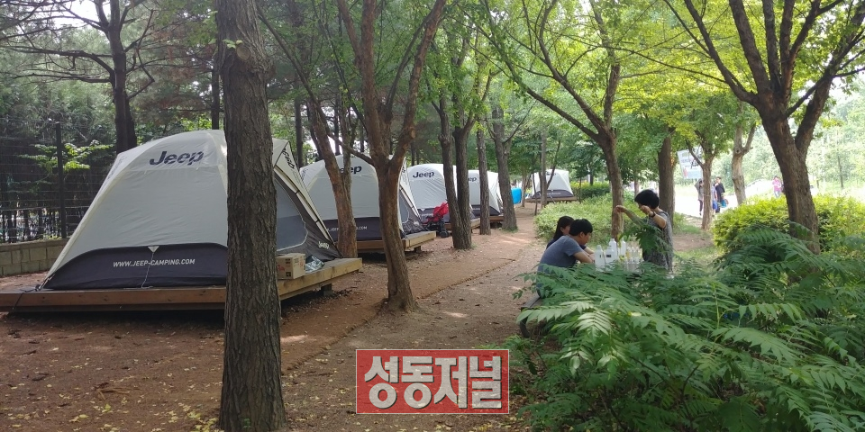 서울숲 캠핑장 전경