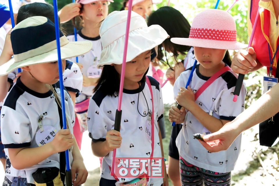 지난 14일 오전 성동구 송정제방 산책로에서 매미학습교실에 참여한어린이들이 채집한 매미를 관찰하고 있다.