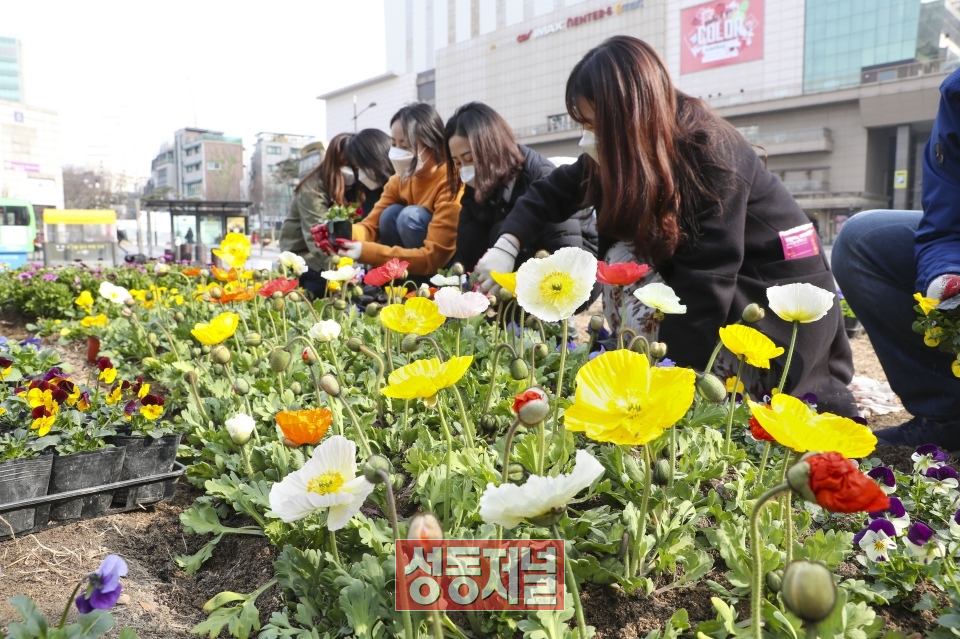 지난해 왕십리광장 일대 봄맞이 꽃심기 모습