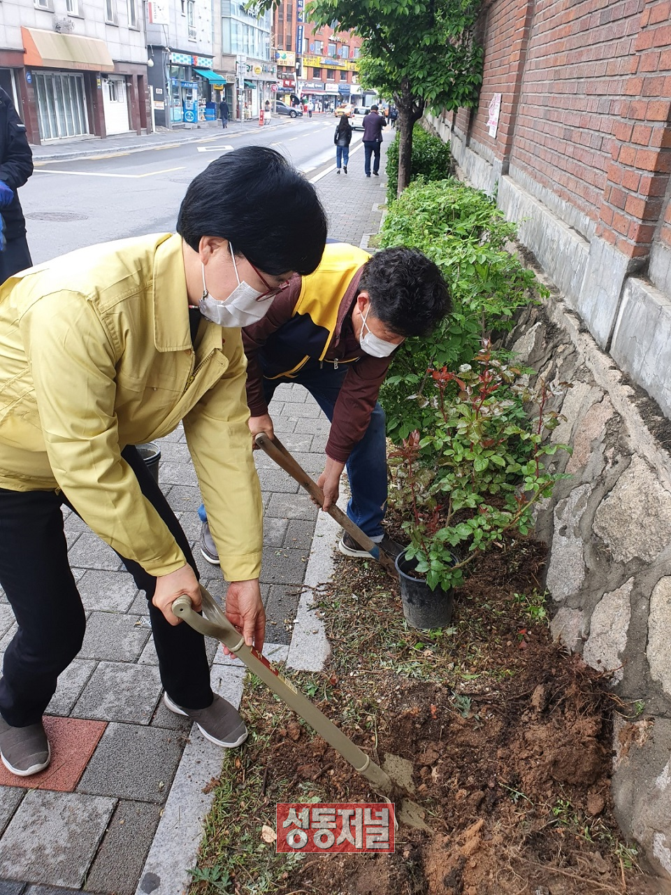 지역 내 자투리 땅 꽃심기 행사에 참여한 이정희 사근동장