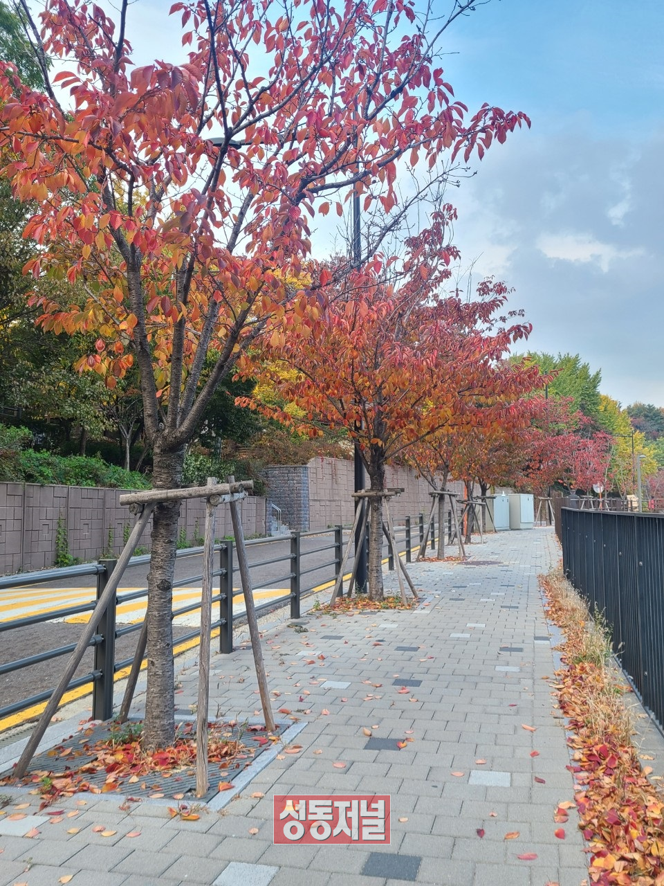 2022년 서울 단풍길 96선에 새롭게 선정된 매봉길 산책로