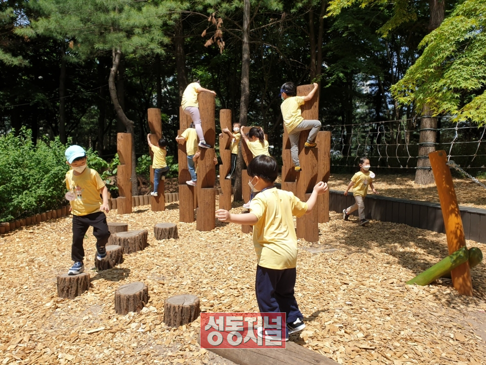 성동구 유아숲체험원에서 아이들이 즐거운 생태체험을 하고 있다.
