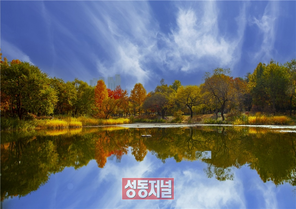 서울숲 가을의호수 전경