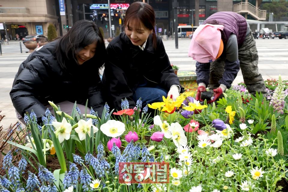왕십리광장이 봄꽃으로 단장된다.