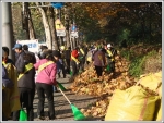 가족과 함께하는 에코 그린(Eco-Green) 낙엽모으기 봉사활동
