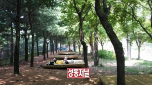 성동구, 서울숲 여름 캠핑장 운영