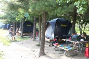 성동구, 서울숲 캠핑장에서 보내는 특별한 여름밤