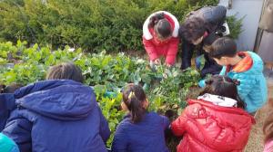 성동구 금호2.3가동, 마을과 학교가 함께 가꾸는 친환경 생태체험학습장