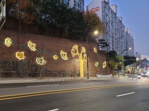 성동구 행당동, “아파트 옹벽에 꽃이 피었습니다”