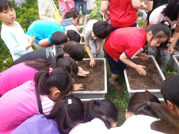 2017년 금호2-3가동 친환경 생태체험학습에서 금호초등학교 학생들이 채소 씨뿌리기와 물주기 체험을 하고 있다.