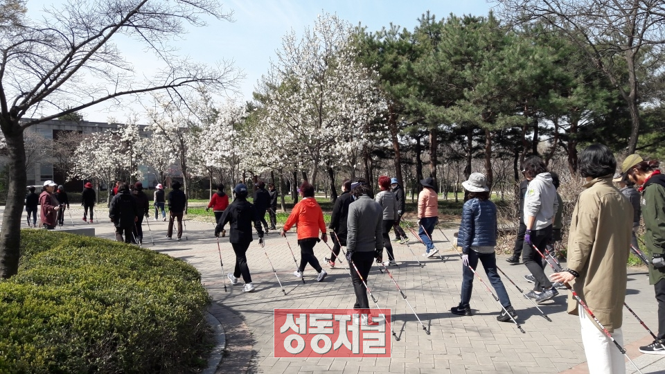 서울숲에서 노르딕걷기를 하는 주민들 모습