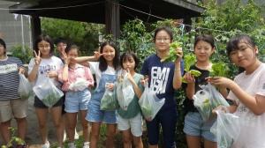 성동구 금호1가동, 초등학생 농부들 ‘텃밭 작물 수확’